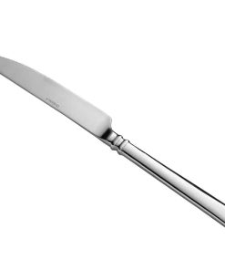 stainless dinner knife