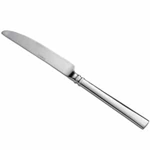 stainless dinner knife