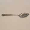 silver serving spoon