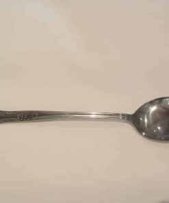 stainless chafing dish spoon