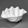 seashell bowl