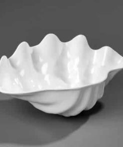 seashell bowl
